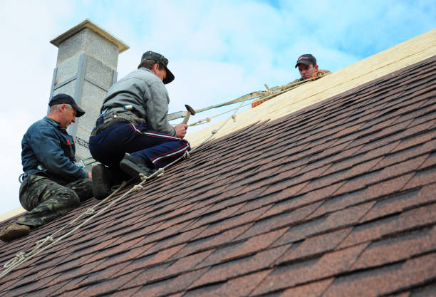 Best Commercial Roofing Services  in Perry, IA
